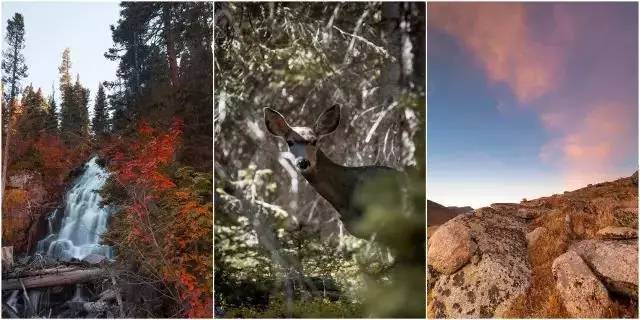 落基山國家公園