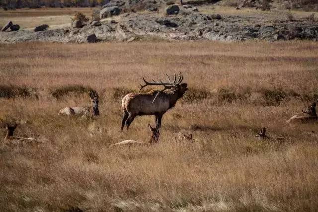 落基山國(guó)家公園