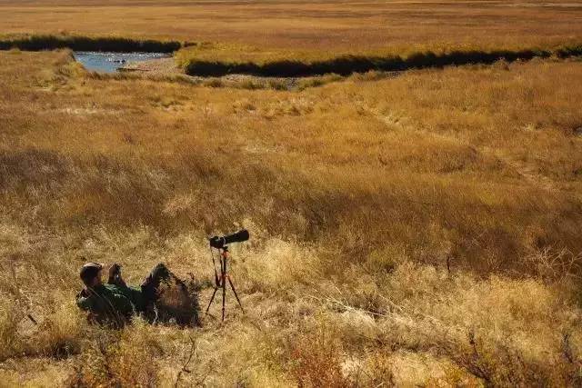 落基山國(guó)家公園