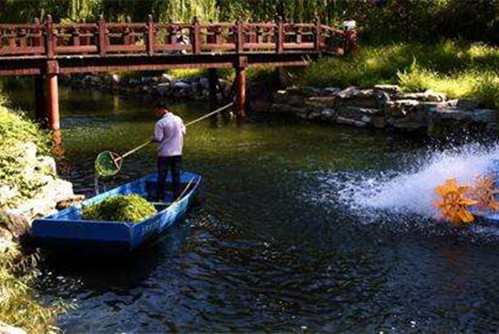 水生態修復的12條方法