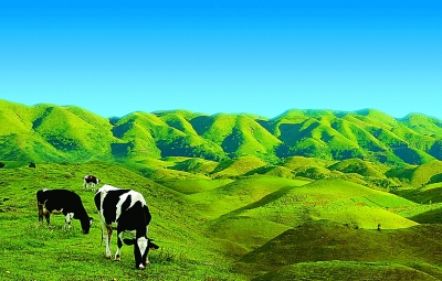 湖南南山國家公園體制試點區掠影(多圖)