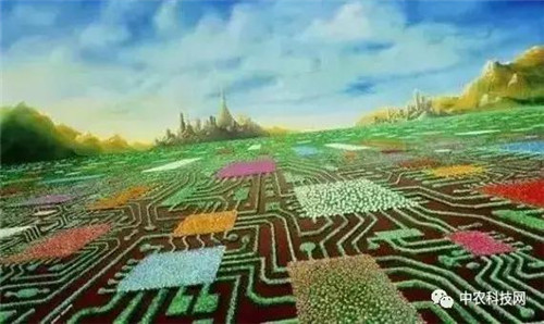 國外創意農業的4種成功類型