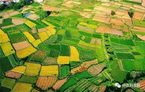 國外創意農業的4種成功類型