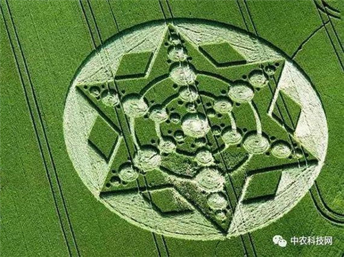 國外創意農業的4種成功類型