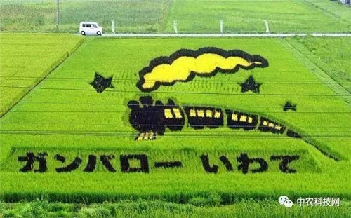 國外創意農業的4種成功類型