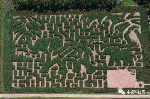 國外創意農業的4種成功類型