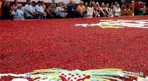 國外創(chuàng)意農(nóng)業(yè)的4種成功類型