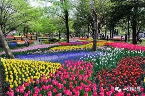 國外創(chuàng)意農(nóng)業(yè)的4種成功類型