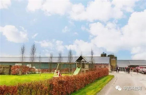 國外創(chuàng)意農(nóng)業(yè)的4種成功類型