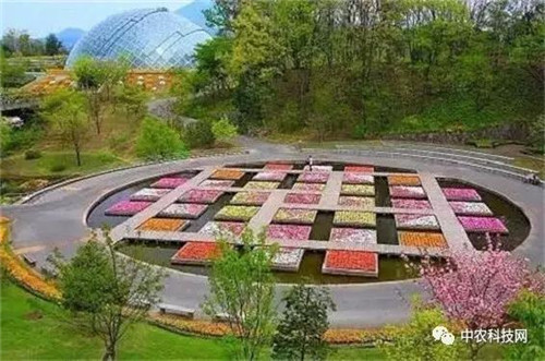 國外創(chuàng)意農(nóng)業(yè)的4種成功類型