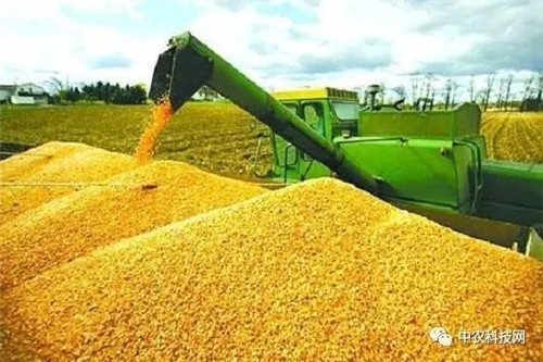 國外創(chuàng)意農(nóng)業(yè)的4種成功類型