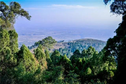 渭南又添一處國(guó)家森林公園