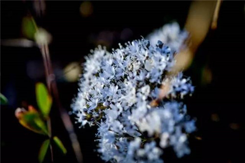 渭南又添一處國(guó)家森林公園