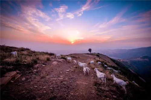渭南又添一處國(guó)家森林公園