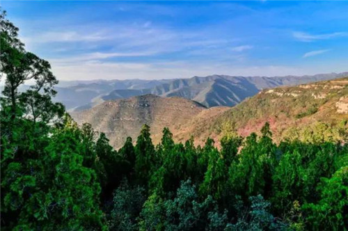 渭南又添一處國(guó)家森林公園