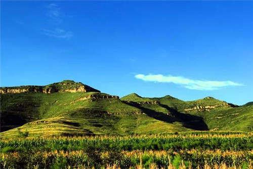 渭南又添一處國(guó)家森林公園