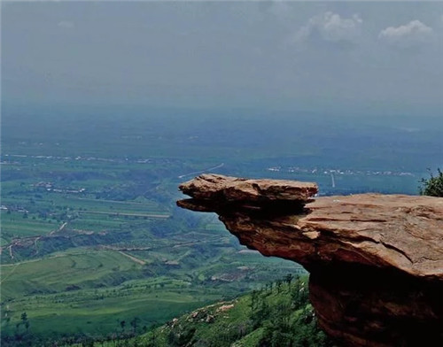 陜西武帝山國家森林公園古樹名木