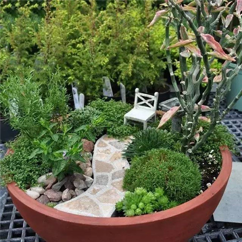 迷你微縮版花園,心都給萌化了