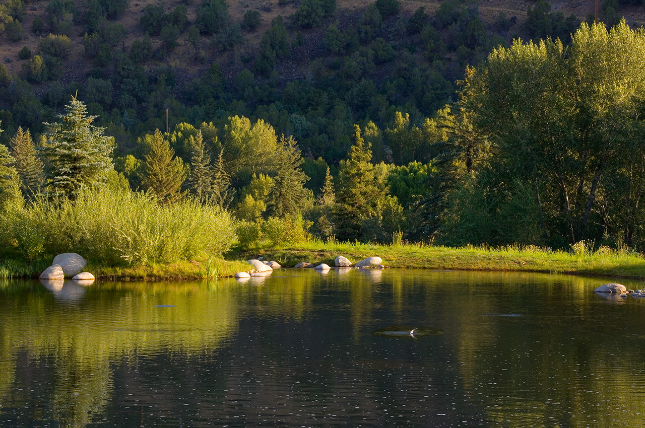 人與自然和諧共生---美國皮特金縣濱河牧場