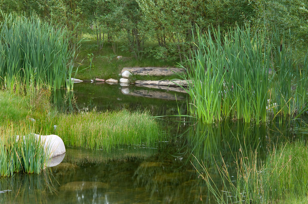 人與自然和諧共生---美國皮特金縣濱河牧場