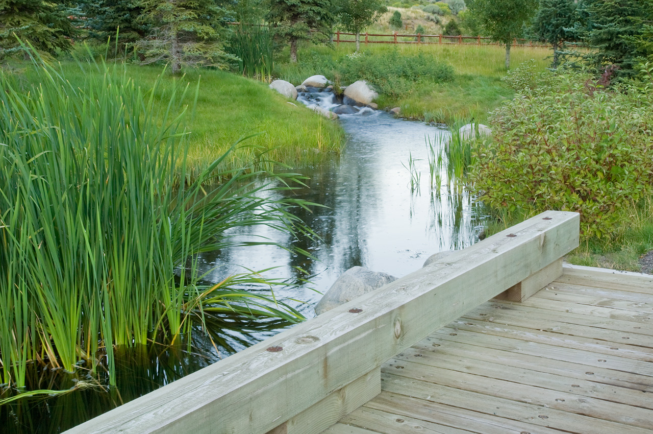 人與自然和諧共生---美國皮特金縣濱河牧場