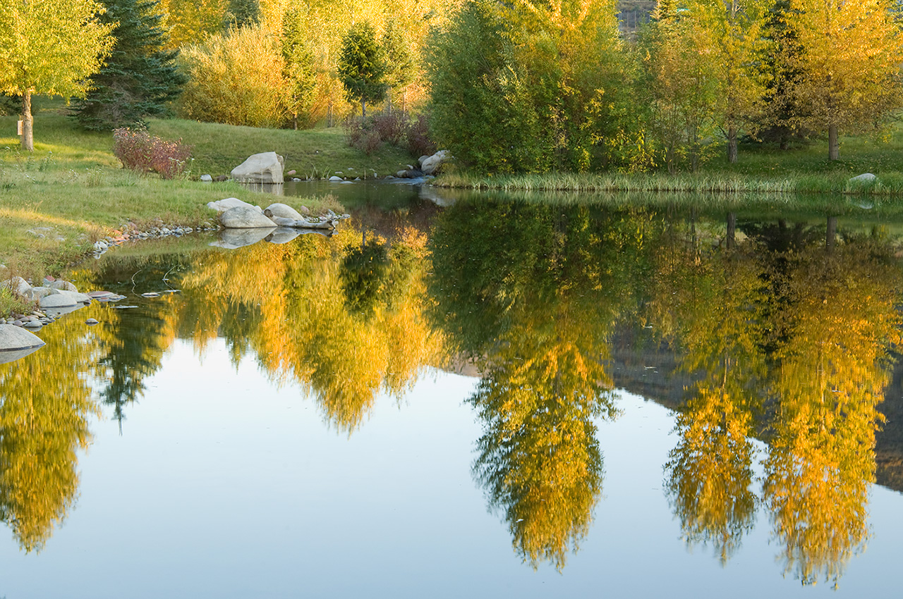 人與自然和諧共生---美國皮特金縣濱河牧場