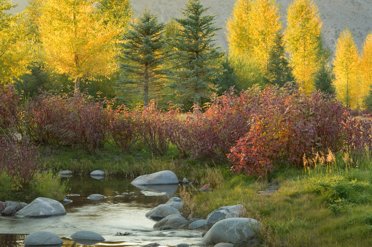 人與自然和諧共生---美國皮特金縣濱河牧場