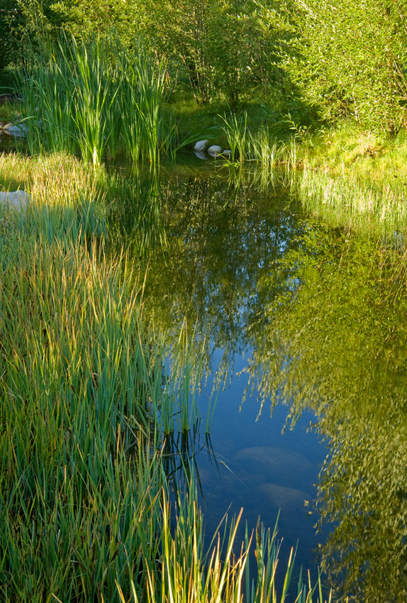 人與自然和諧共生---美國皮特金縣濱河牧場
