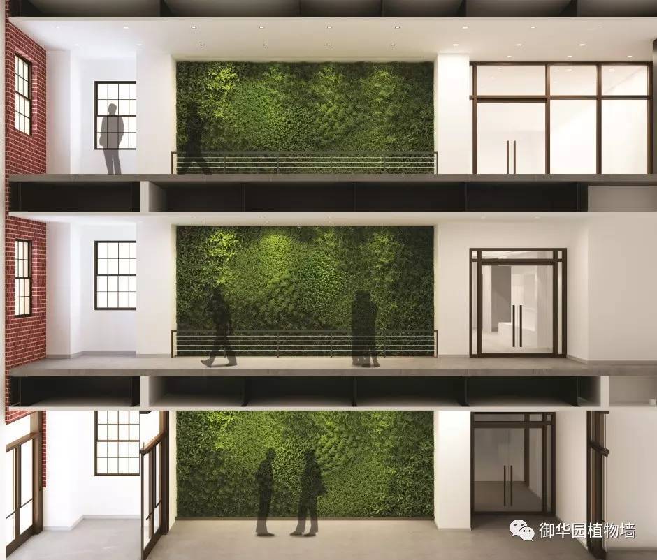 為什么植物墻效果圖不好出？