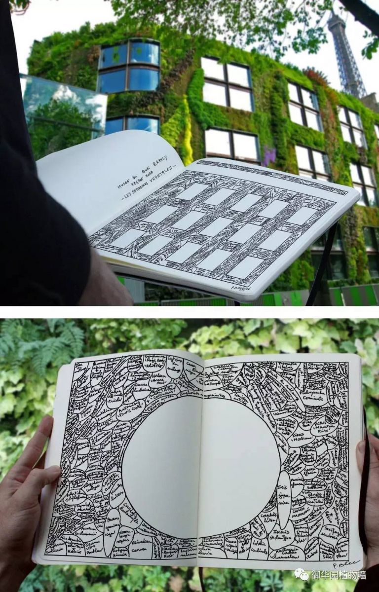 為什么植物墻效果圖不好出？