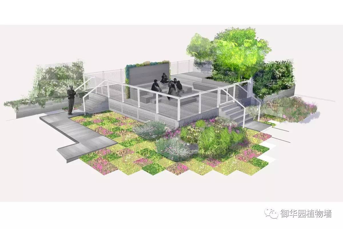 為什么植物墻效果圖不好出？