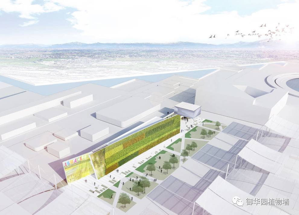 為什么植物墻效果圖不好出？