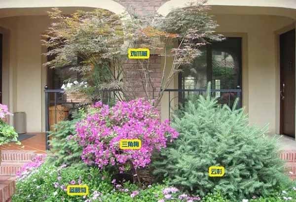 園林中各種各樣的植物搭配方式