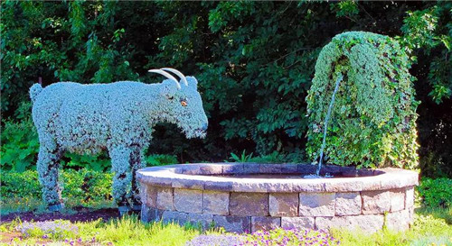 植物雕塑的城市景觀你見過嗎？