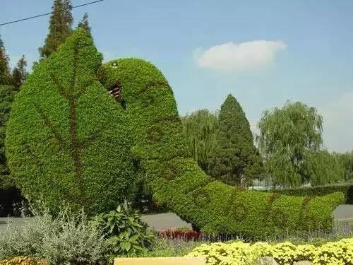 植物雕塑的城市景觀你見過嗎？