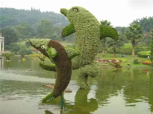植物雕塑的城市景觀你見過嗎?