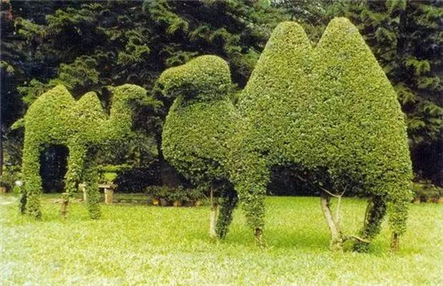 植物雕塑的城市景觀你見過嗎?