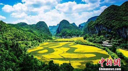 世界最大植物漢字景觀“龍字田”獲權威認證