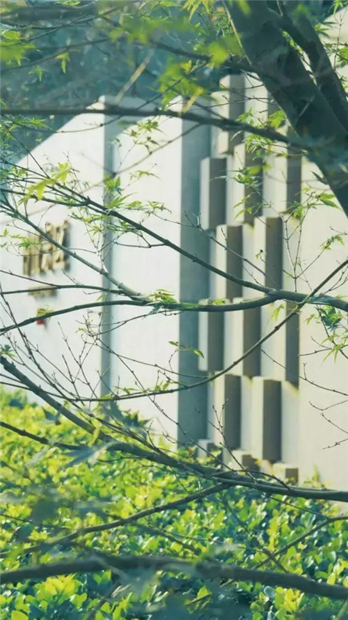 景觀設計中老師如何教？學生如何學？