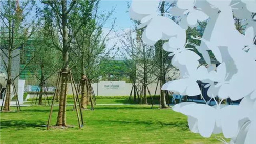 景觀設計中老師如何教？學生如何學？