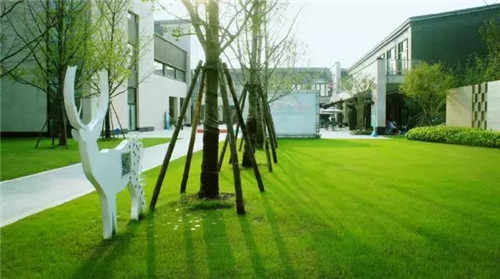 景觀設計中老師如何教？學生如何學？