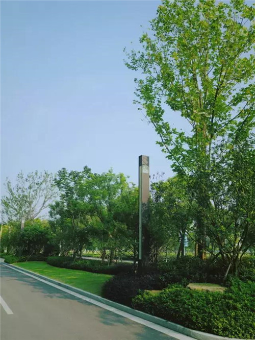 景觀設計中老師如何教？學生如何學？