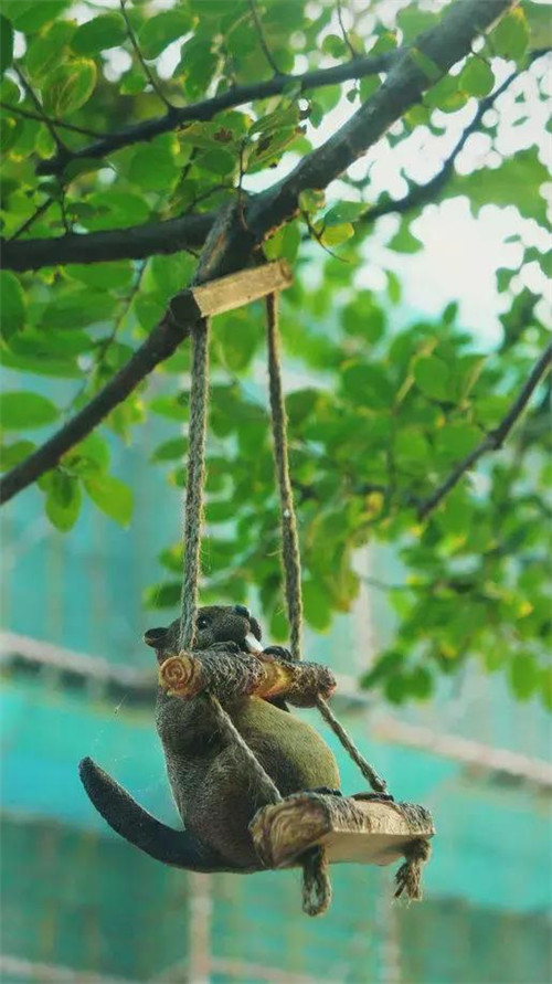 景觀設(shè)計中老師如何教？學(xué)生如何學(xué)？