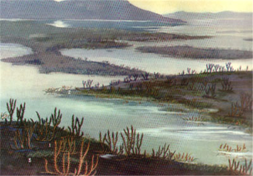 植物：地球上生命存在和發展的基礎