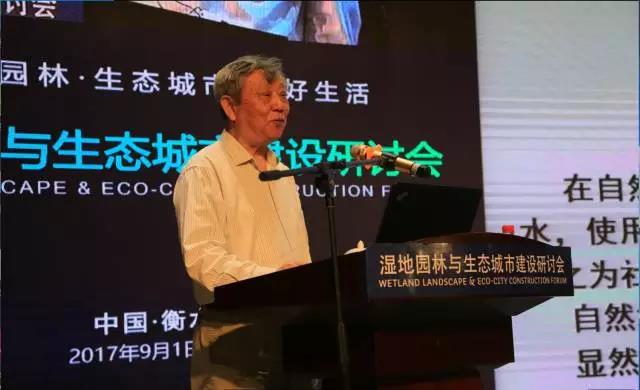 張杰:雨水循環與黑臭水體