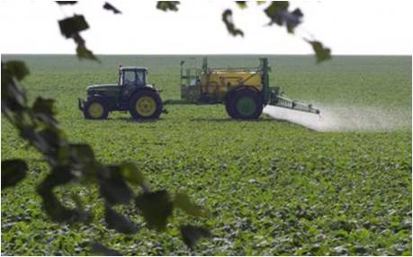 張杰:雨水循環與黑臭水體