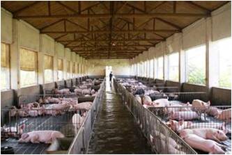 張杰:雨水循環與黑臭水體