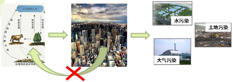 張杰:雨水循環與黑臭水體