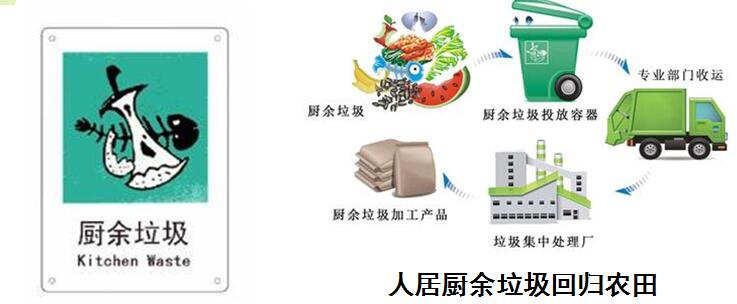 張杰:雨水循環與黑臭水體