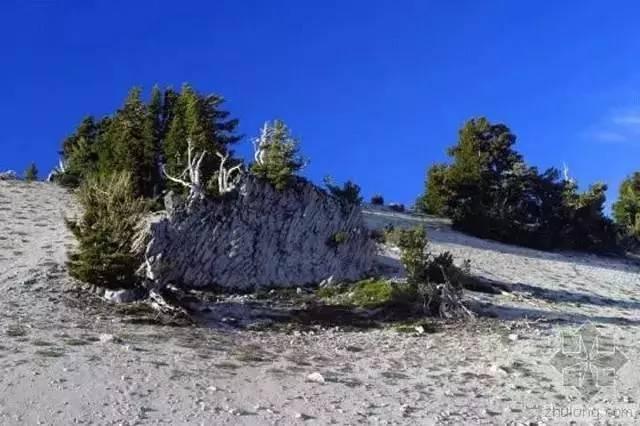 你知道美國加州的9個國家公園嗎？